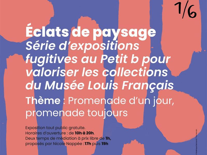 PROMENADE D'UN JOUR, PROMENADE TOUJOURS - SÉRIE : ECLATS DE PAYSAGE 1/6