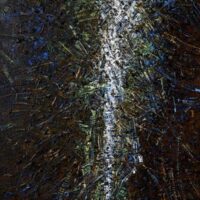 Penser par la peinture : Bernard Réquichot