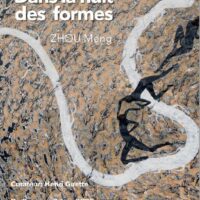 Dans la nuit des formes : Zhou Meng