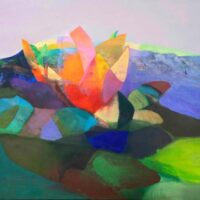 État sauvage : Tom Climent