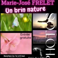 Exposition photo Un brin nature