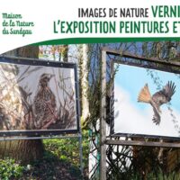 Images de nature - Vernissage de l'exposition peintures et photos