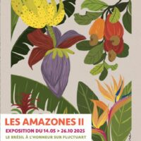 Les Amazones II