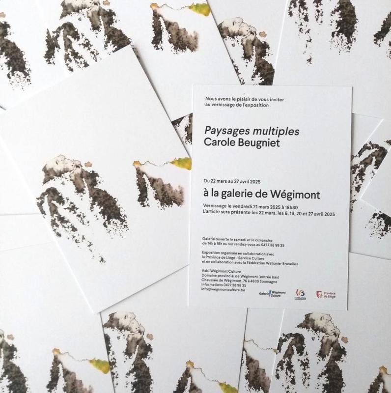 " Paysages multiples "