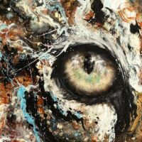 Exposition : Animal