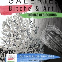 Exposition de Thomas Rebischung
