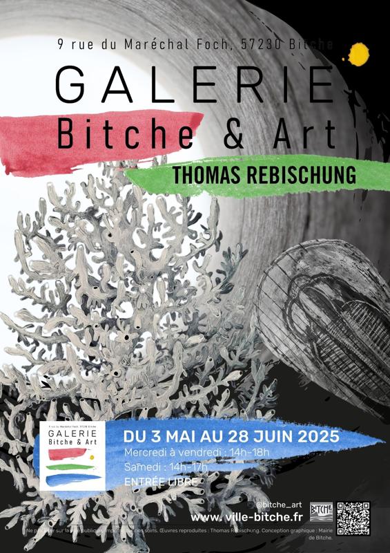 Exposition de Thomas Rebischung