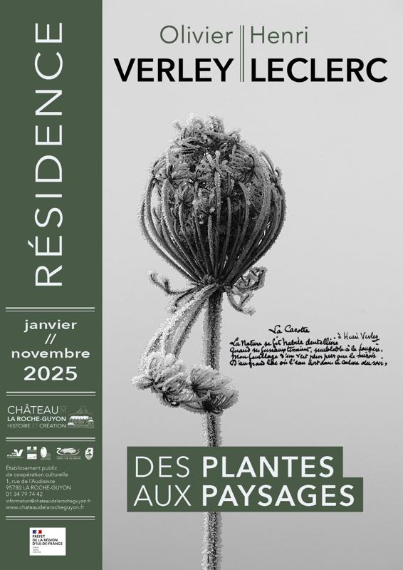 Olivier Verley : Des plantes aux paysages