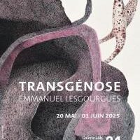 Transgénose : Emmanuel Lesgourgues
