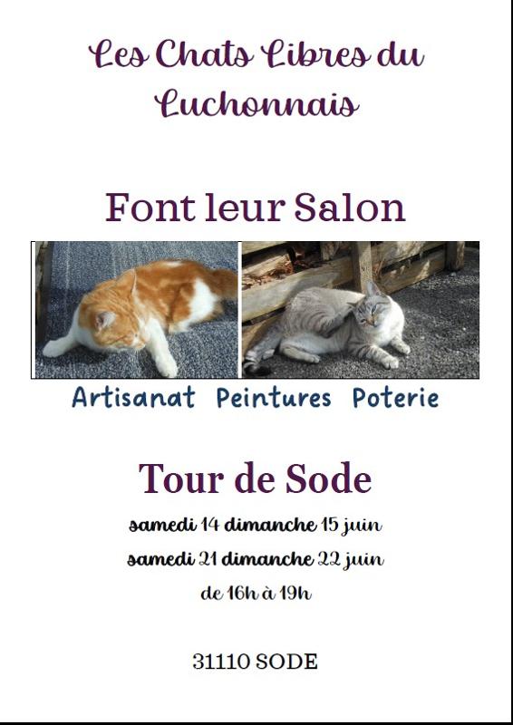 EXPOSITION LES CHATS FONT LEUR SALON