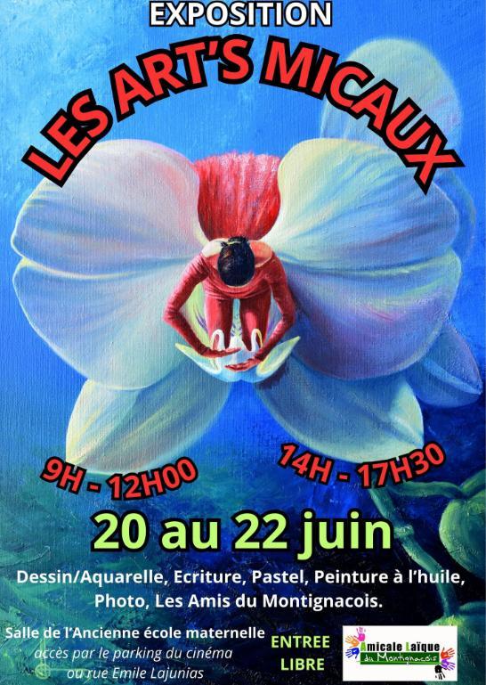 Exposition - les Art's Micaux