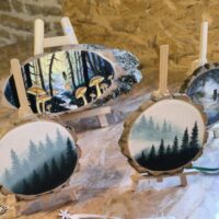 La forêt et ses animaux, un monde féerique