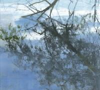 Reflets dans l'eau : Farhad Ostovani