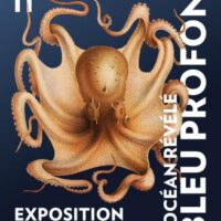 Bleu profond, l'océan révélé