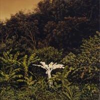 Eldorado : Bruno Gadenne