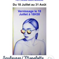 Exposition "Au stylo bille" Cédric Moreau