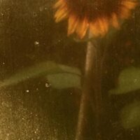 Exposition Orées par C. Chik et F. Chanussot