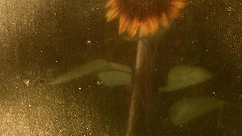 Exposition Orées par C. Chik et F. Chanussot