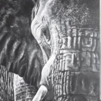 Exposition : Patricia Janneau
