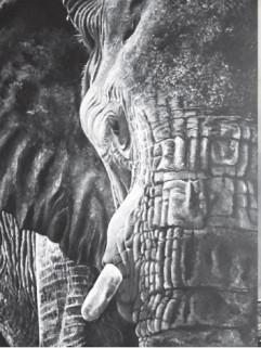 Exposition : Patricia Janneau