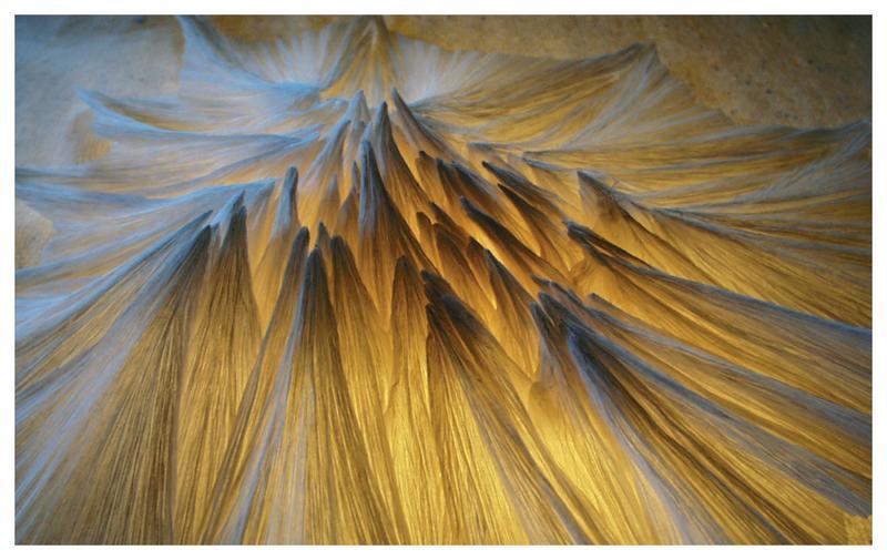 Exposition d'œuvres en papier plié "Expo pliée" proposée par le Crimp