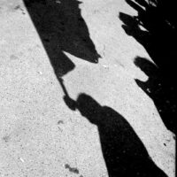 Exposition “un regard certain” à l’Orangerie