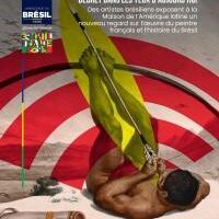 Le Brésil illustré
