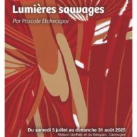 Lumières sauvages