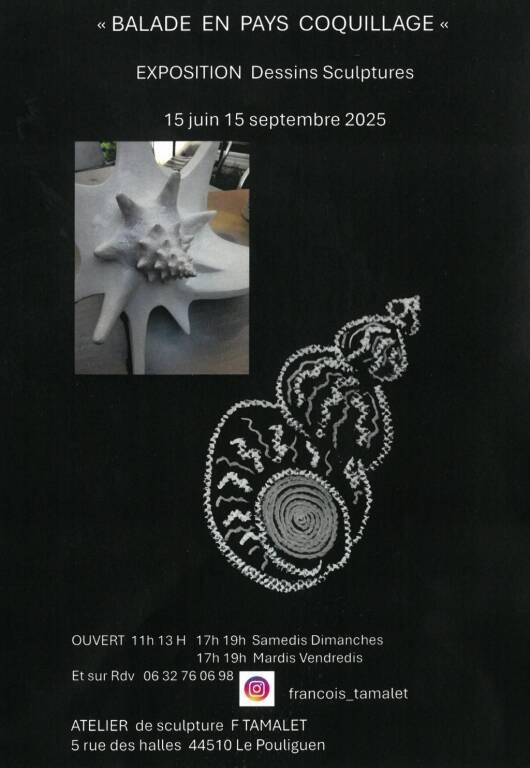 Exposition Balade en pays coquillage