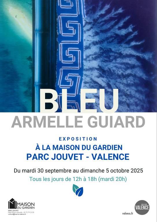 Exposition : Bleu