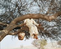 Hoda Afshar, Performer l’invisible