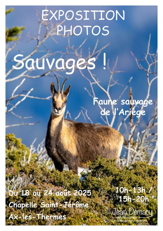 Sauvages ! – Photographies de la faune sauvage de l’Ariège