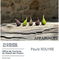 Apparences - exposition de peintures et photographies de Paule Rouyre