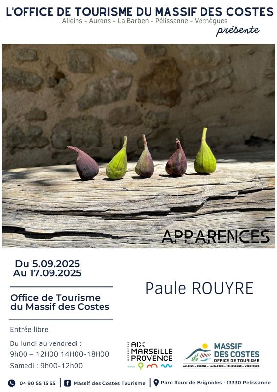 Apparences - exposition de peintures et photographies de Paule Rouyre