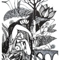Bois gravés, mythes et poésie : Raúl Villullas