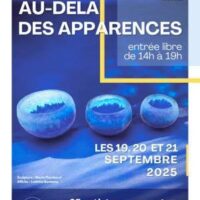 Exposition au-delà des apparences