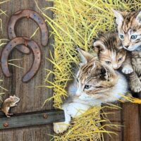 Exposition d'aquarelles