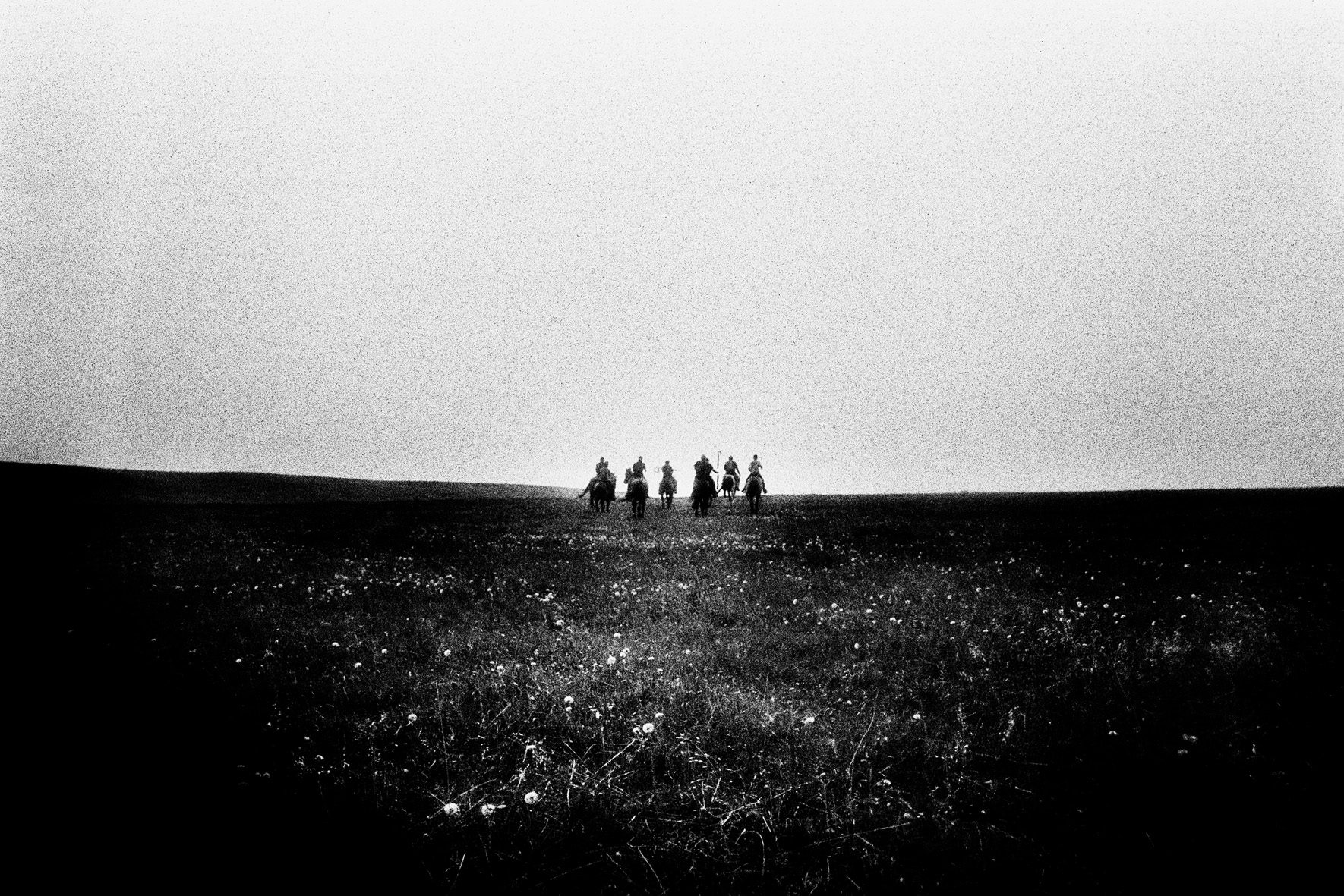 Exposition  » The Horse Nation » de Simon Vansteenwinckel