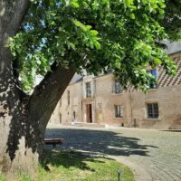 Conférence "L’abstraction des années 50"