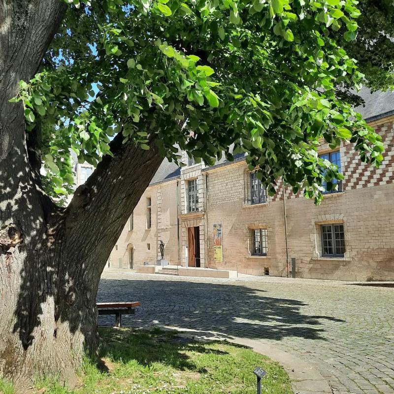 Conférence "L’abstraction des années 50"