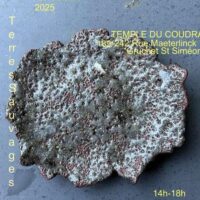 Expo vente à l'atelier - Terres Sauvages