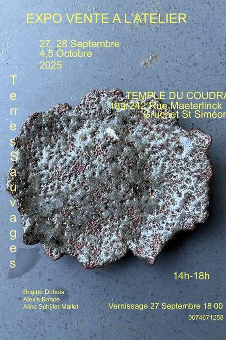 Expo vente à l'atelier - Terres Sauvages