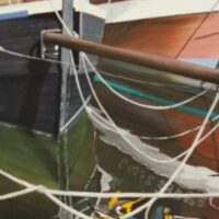 Exposition : "Cachelou et ses amis"