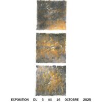Exposition - Dessins de Laurent Bousquet
