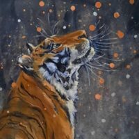 Exposition "Toiles en Seine"