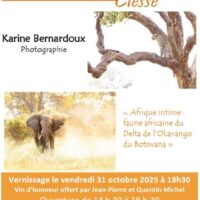 Exposition au Pressoir du mois de novembre 2025