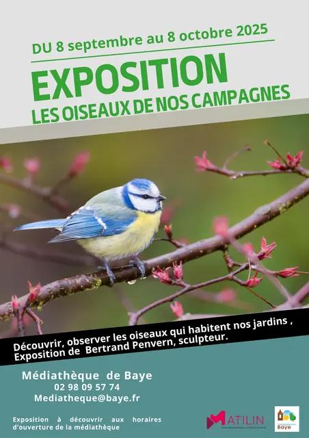 Exposition - les oiseaux de nos campagnes