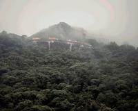 Île Brésil : Vincent Catala