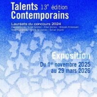 Métamorphose : Talents Contemporains 13e édition