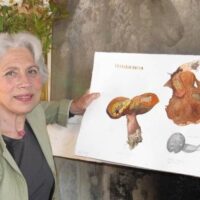 Stage de peinture botanique